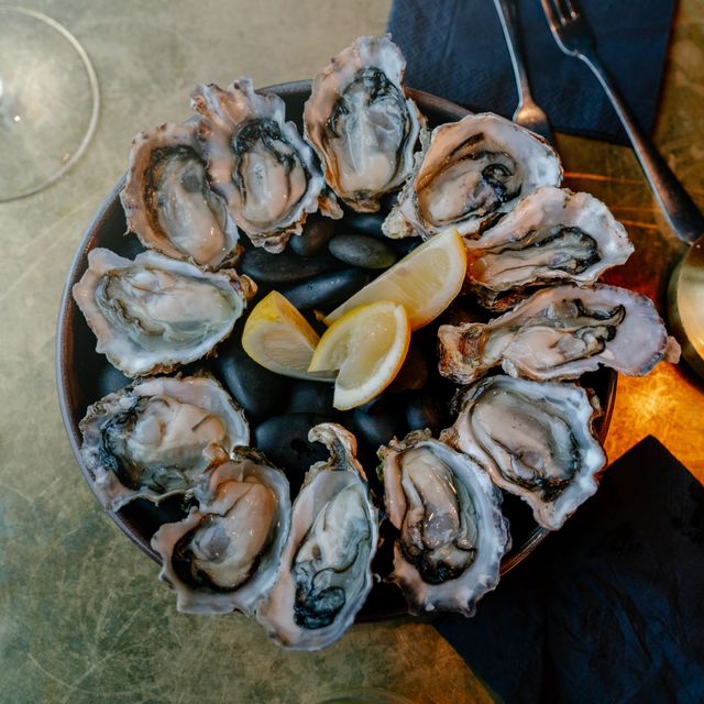 Oysters